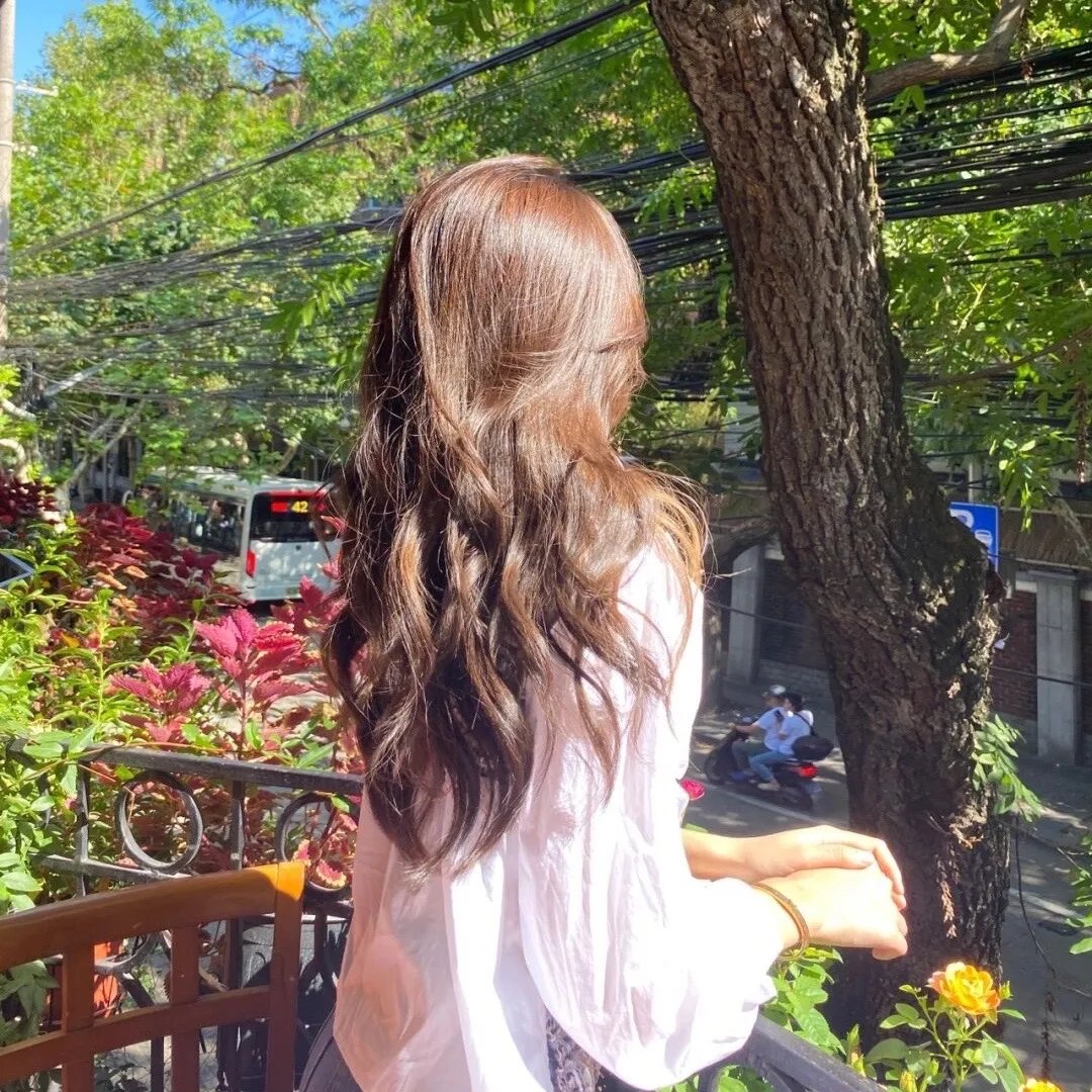 春天之旅 海报